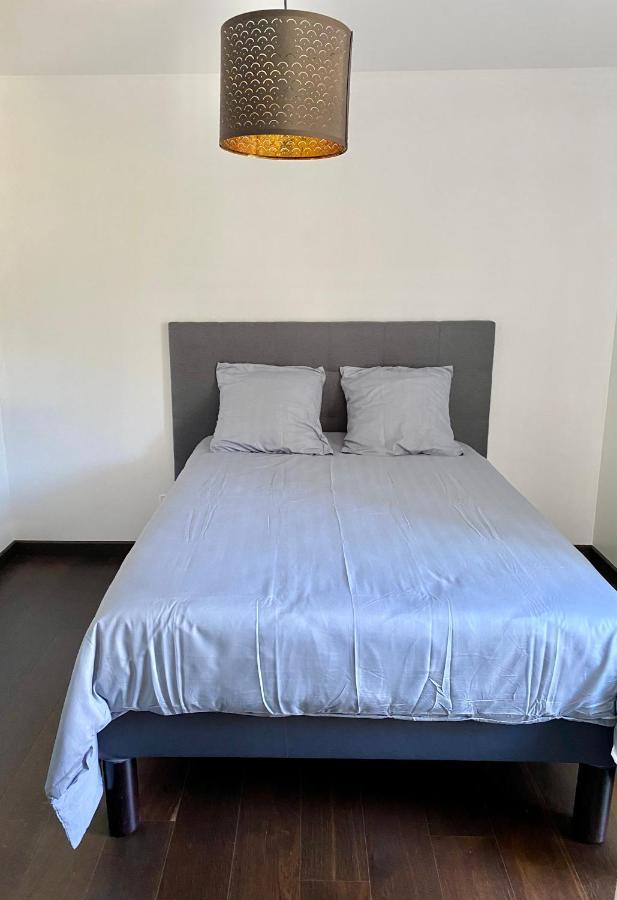 Appart Cosy Proche Du Lac Avec Terrasse Annecy Exterior photo